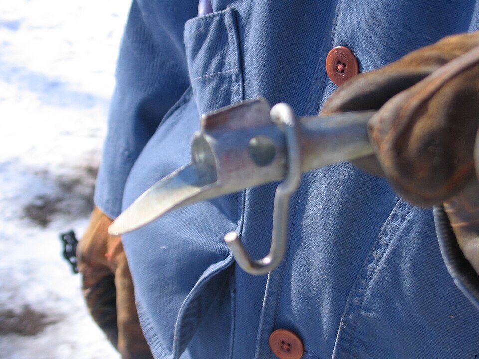 Make maple syrup from tree to bottle